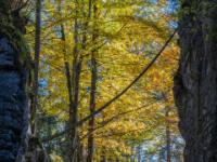 Am Ende des Felsabschnittes leuchten Herbstbäume im Sonnenlicht